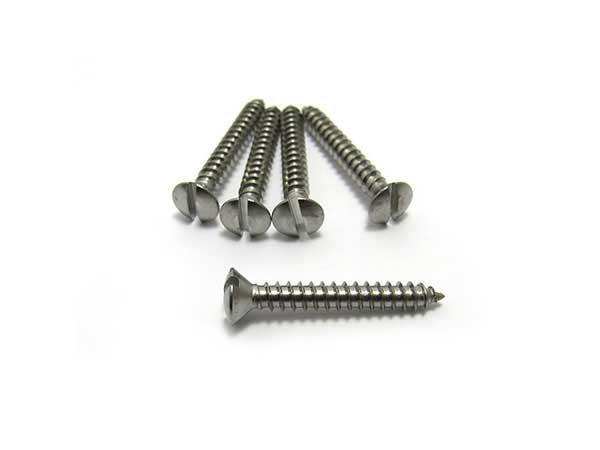 Bridge screws, Slot head Stainless Steel (x 6)